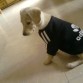 con su chandal 